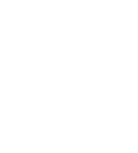 Vice Online